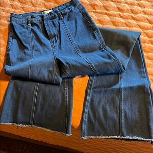 Altar'd State Blue Flare Wide Leg Jeans